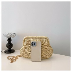 Beach Bags Trendy Bag Crossbody Bag with Detachable Chain Shoulder Bags
